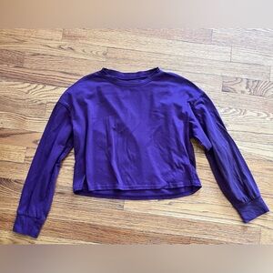 Women’s Purple Long Sleeve Cropped Shirt Basic Everyday Size Medium Spring